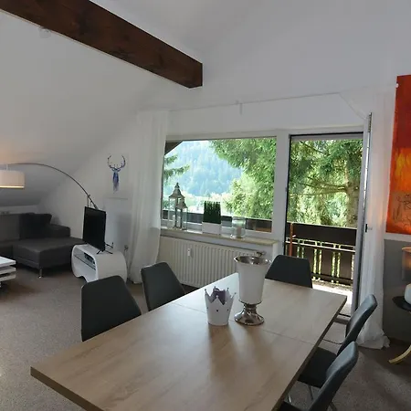 Stryck Apartment Willingen (Upland)